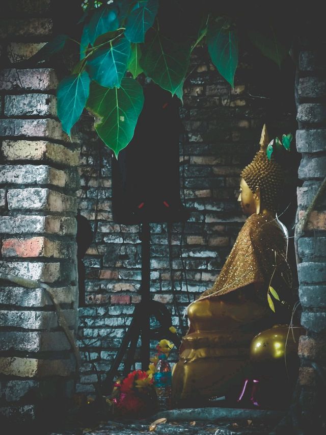 สถานที่เงียบงามที่ซ่อนตัวอยู่กลางธรรมชาติ 🍃