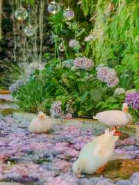 Hangzhou West Lake｜Indoor Monet Garden with Hydrangea Sea & Misty Aquarium 🌸🌿