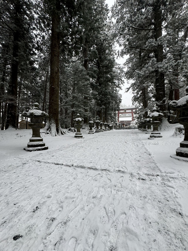 下雪的北口本宮富士浅間神社 