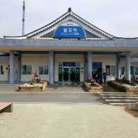보성녹차와 벌교꼬막이 함께하는 남도여행~!