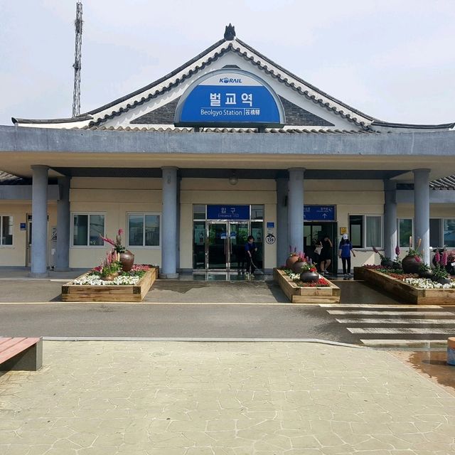 보성녹차와 벌교꼬막이 함께하는 남도여행~!