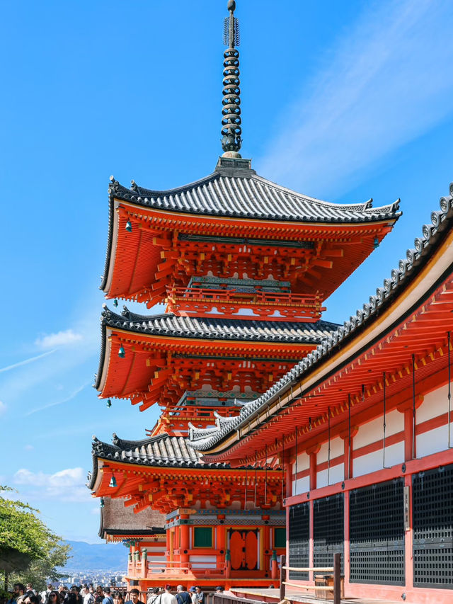🏯 Kyoto in a Day Under RM150!