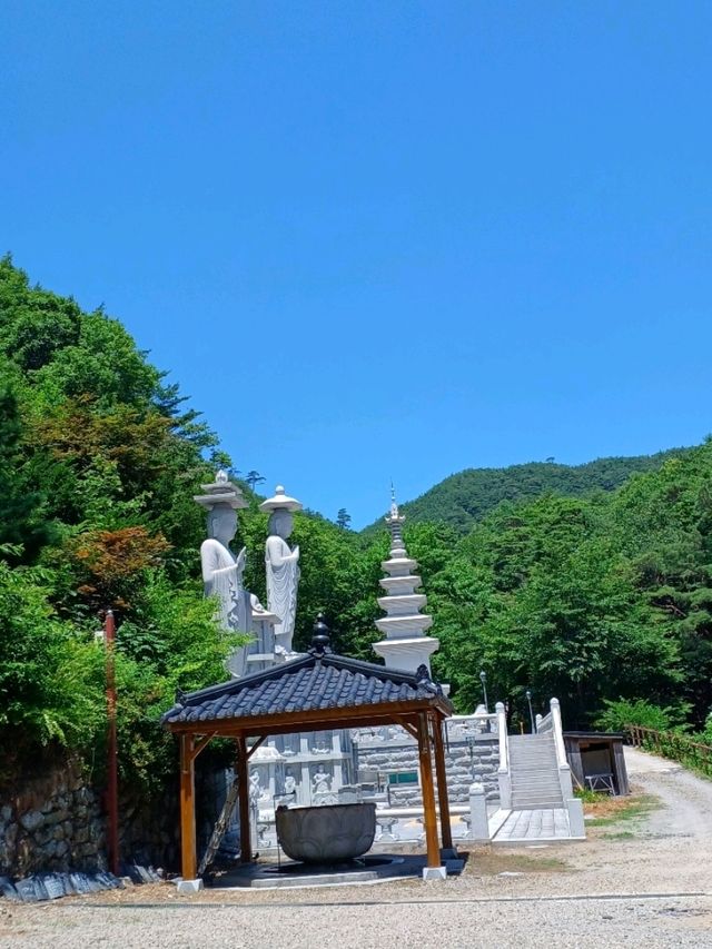 초록으로 물든 여름의 해인사