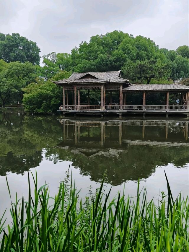 VIEWING FISH AT FLOWER HARBOR · HANGZHOU’S DANCING AQUATIC PALETTE