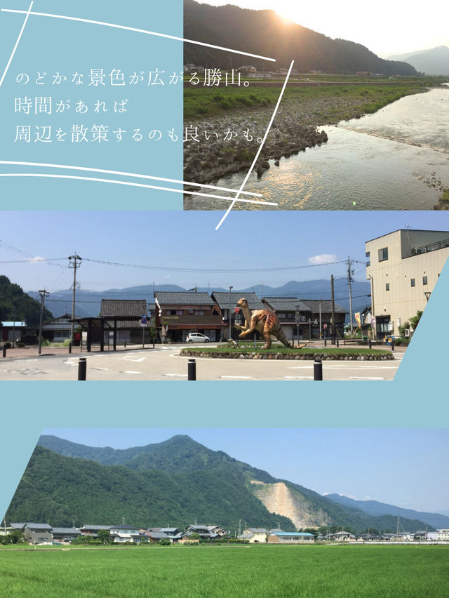 夏休みにも！こどもから大人まで楽しめる【福井県立恐竜博物館】🦖