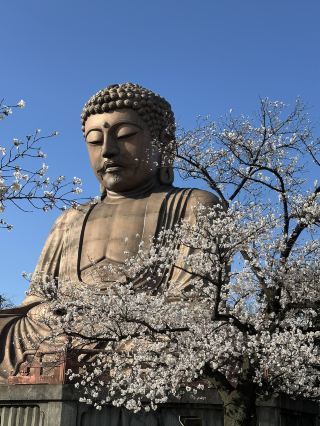 바람이 평화를 말해주는 아늑한 휴식처.