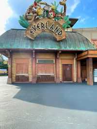 Thrills and Magic at Everland Korea