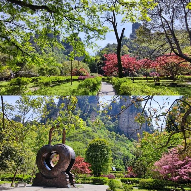 Into the Real-Life Avatar Mountains: A Zhangjiajie Adventure