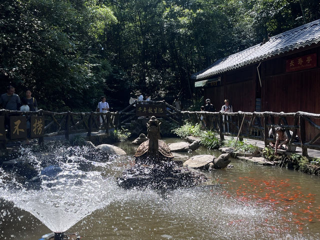 Zhangjiajie East lane B