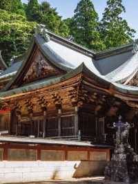 🇯🇵日本四國|古寺巡禮山林間的隱秘之地