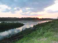 🇳🇵 Chitwan National Park: Into the Wild Heart of Nepal