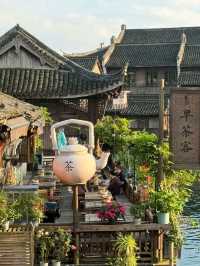 Step into History: Explore Wuzhen’s Ancient Charm