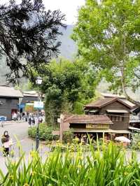 Step Into Nostalgia at Checheng Wood Museum