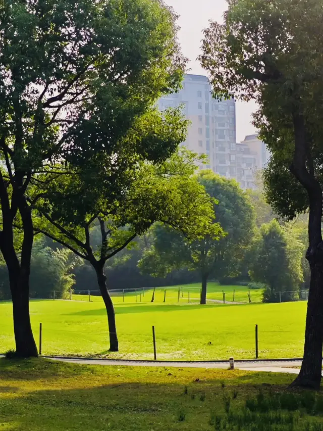 親子同樂的好去處