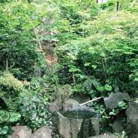 ⛩️日本橋: ビジネス街のまんなか当たる神社として知られる福徳神社芽吹稲荷 へ