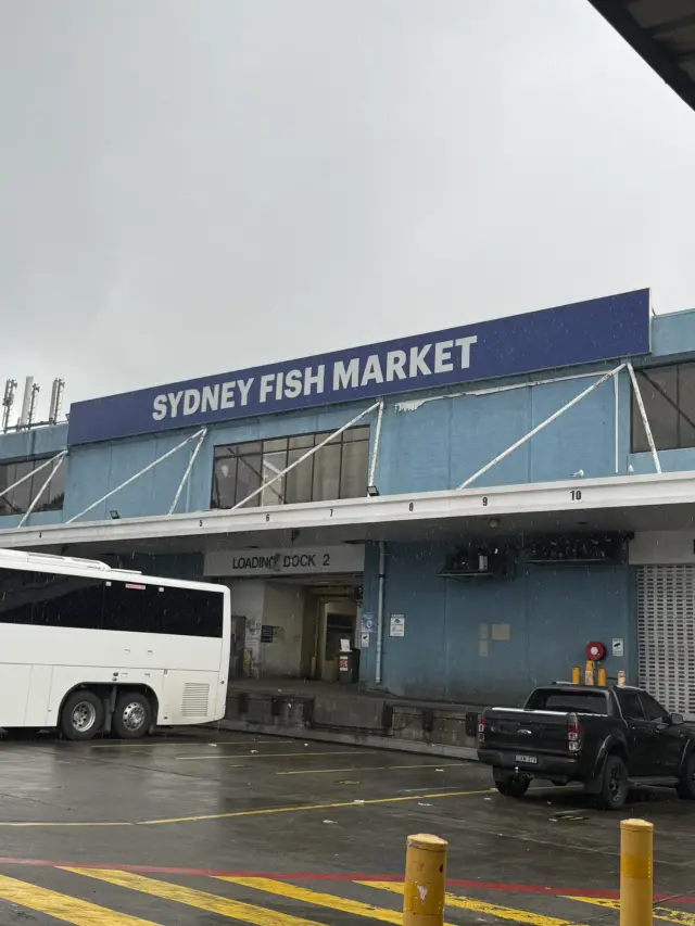 SYDNEY FISH MARKET攻略