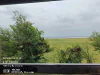นั่งรถไฟลอยน้ำเขื่อนป่าสักลพบุรี