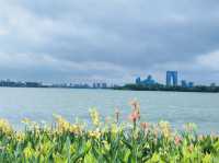 A Photographer's Paradise at Jinji Lake, Day or Night