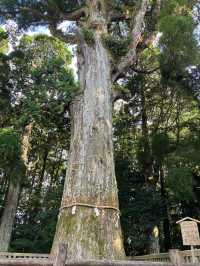 【鹿児島・霧島市】⛩️霧島神宮🏺黒酢ガーデン壺畑〜霧の聖地と黒酢壺の歴史旅〜