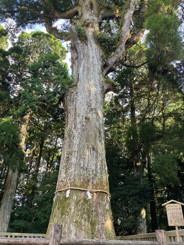 【鹿児島・霧島市】⛩️霧島神宮🏺黒酢ガーデン壺畑〜霧の聖地と黒酢壺の歴史旅〜