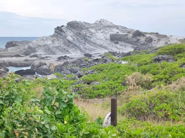 Encounter the Wonders of Nature