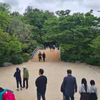 Wandering Through Yangdong’s Living Tapestry