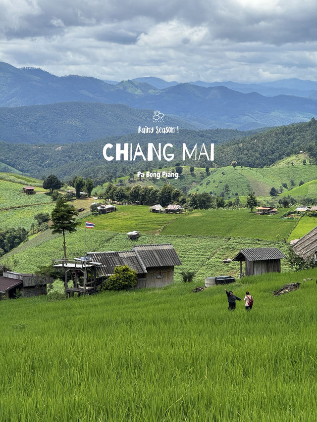 บ้านป่าบงเปียง จ.เชียงใหม่ 🏡⛰️🌦️🌾 บ้านป่าบงเปียง จ.เชียงใหม่ 🏡⛰️🌦️🌾