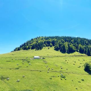 探索阿斯潘山口的壯麗風光