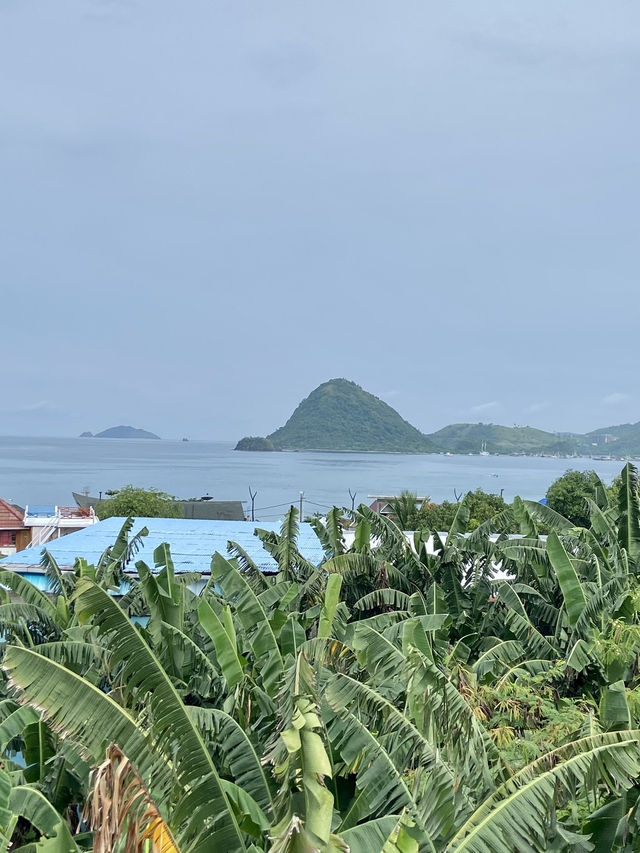 Island Oasis: Unwinding at Seaesta Komodo