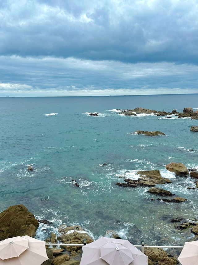 🌊 경주 바다 & 숲속 힐링 여행, 오류고아라해변 + 정글미디어파크 🏖️🌿