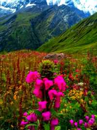 Annapurna Conservation Area – Nepal’s Crown Jewel of Adventure