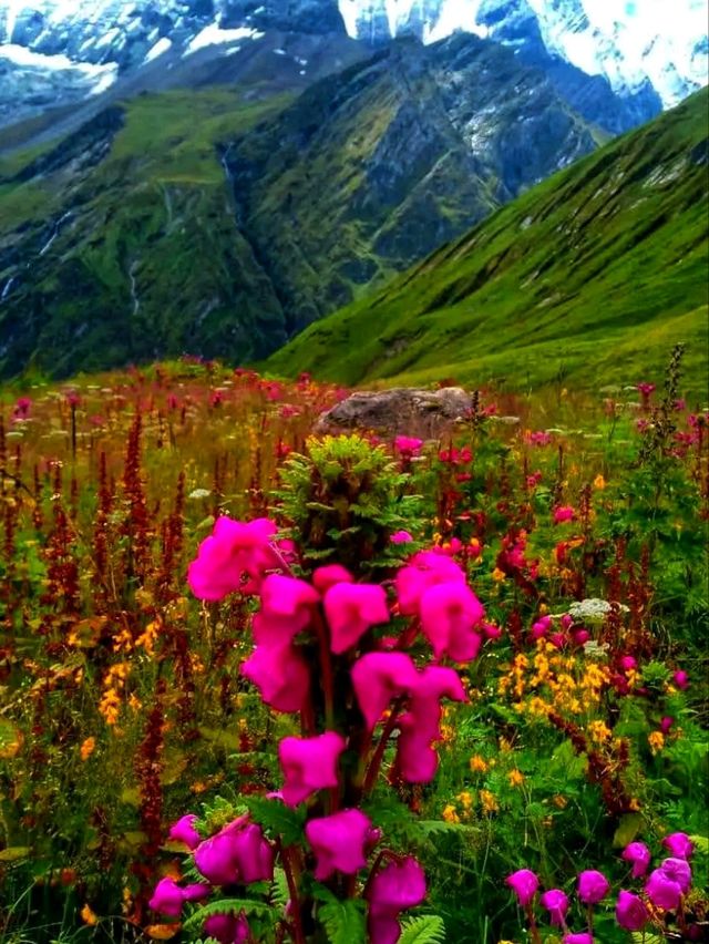 Annapurna Conservation Area – Nepal’s Crown Jewel of Adventure