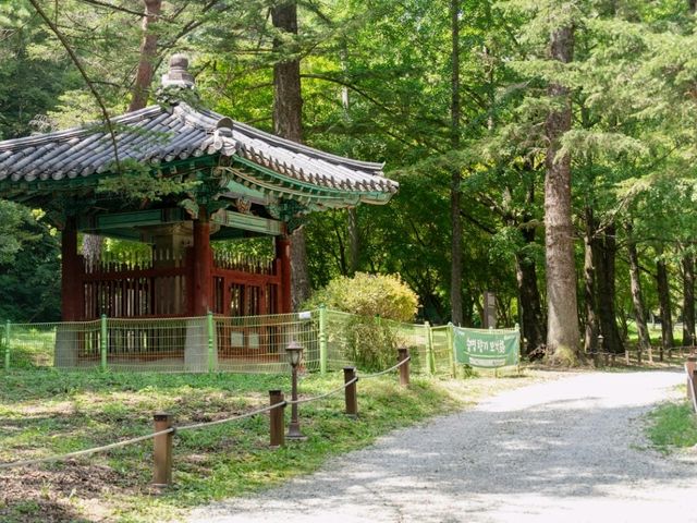 🇰🇷 천년고찰 보석사 산책