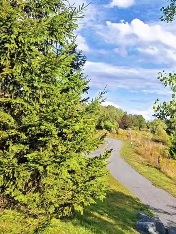 Parc de la Cité – A Green Haven in Longueuil