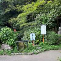Hakone Shrine / Torii on Lake Ashi (Kanagawa)