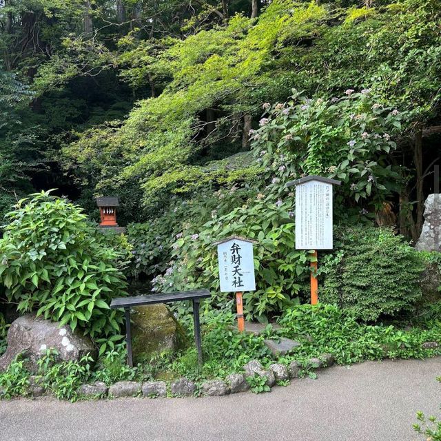 Hakone Shrine / Torii on Lake Ashi (Kanagawa)