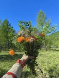 Reindeer Herders’ Village – Taiga, Mongolia