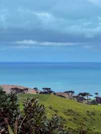Manukau Lighthouse – Guiding the Shores of Auckland’s West Coast