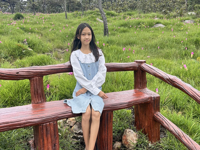 หมอกสวยๆ ที่ป่าหินงาม