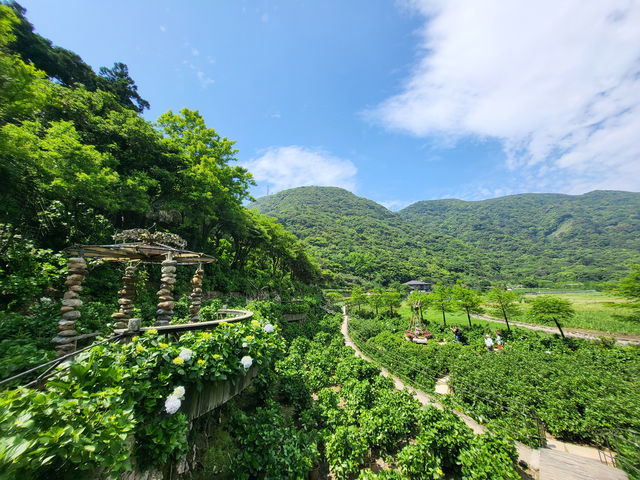 名陽匍休閒農莊：陽明山花季中的秘境天地