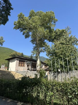 Review: Khan Palace & Pottery / Decorative Art in Sheki