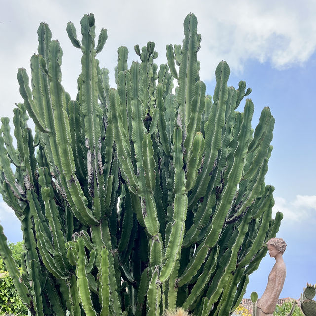 🇫🇷法國埃茲-Jardin Exotique d’Eze 🌵