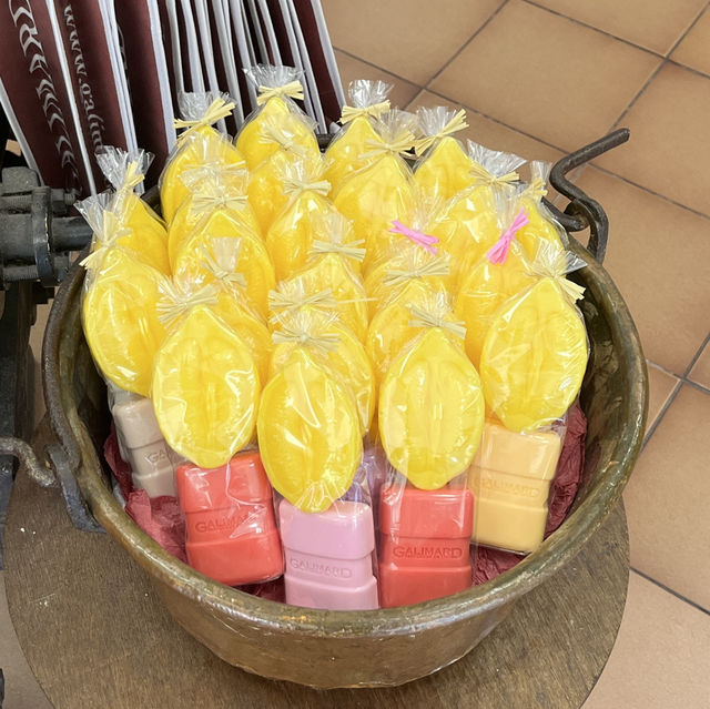 🇫🇷法國埃茲-Fragonard factory and cosmetic laboratory 🪻🌸