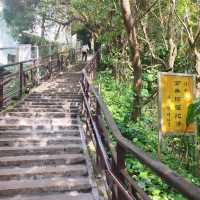 Elephant Mountain (Xiangshan)
