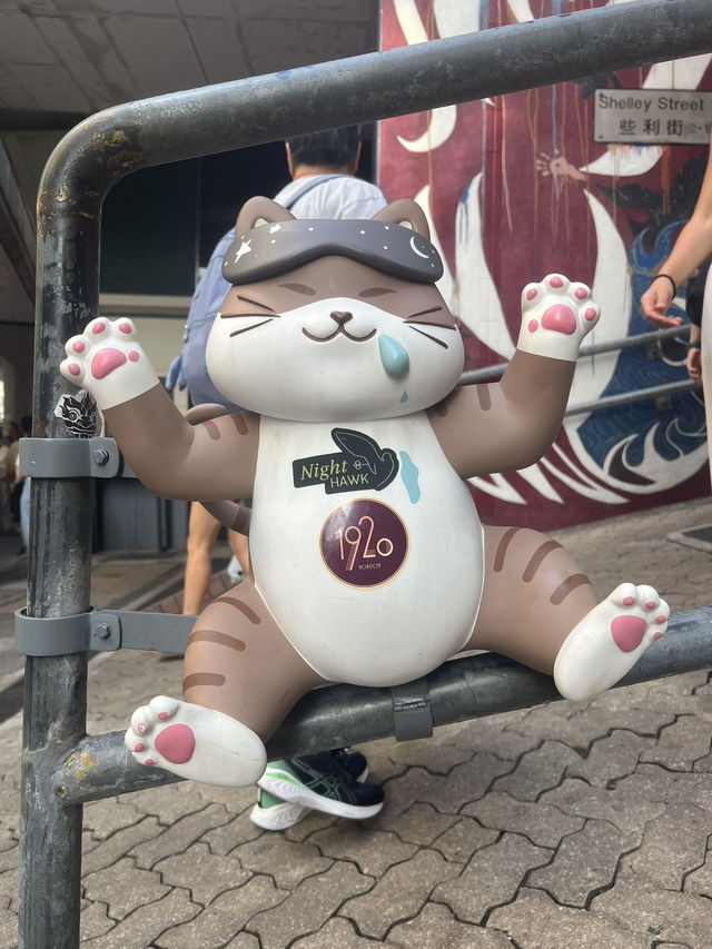 和貓貓一起漫遊荷李活道