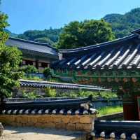 울창한 숲길 끝에 자리한 웅장한 사찰