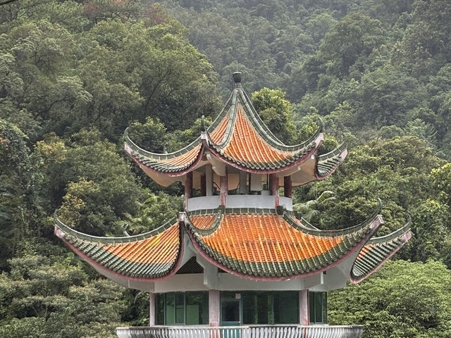 Chillin’ at 鼎湖山: Scenic Vibes & Insta-Worthy Spots 📸🌳