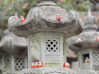 #勝尾寺