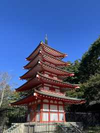 Arakurayama Sengen Park ✨