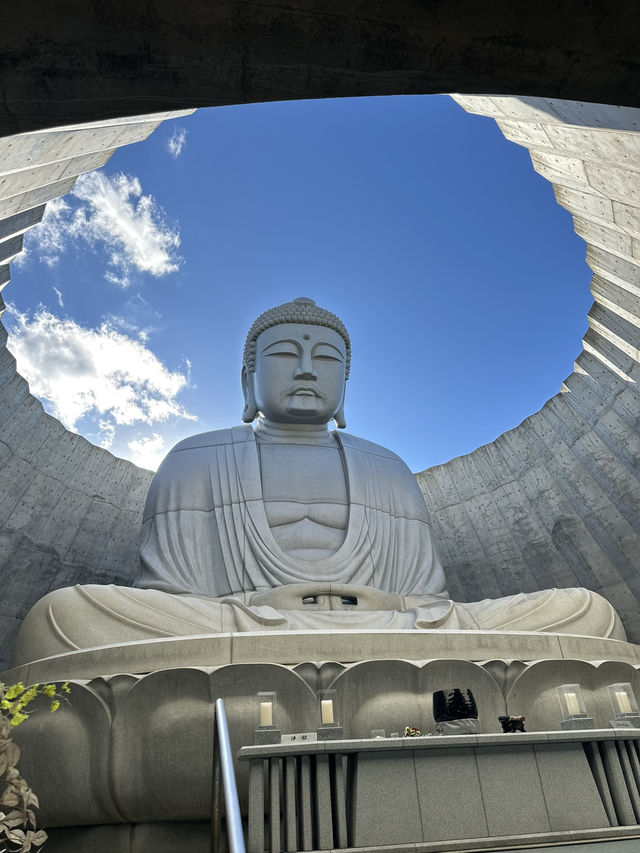 Hill of Buddha